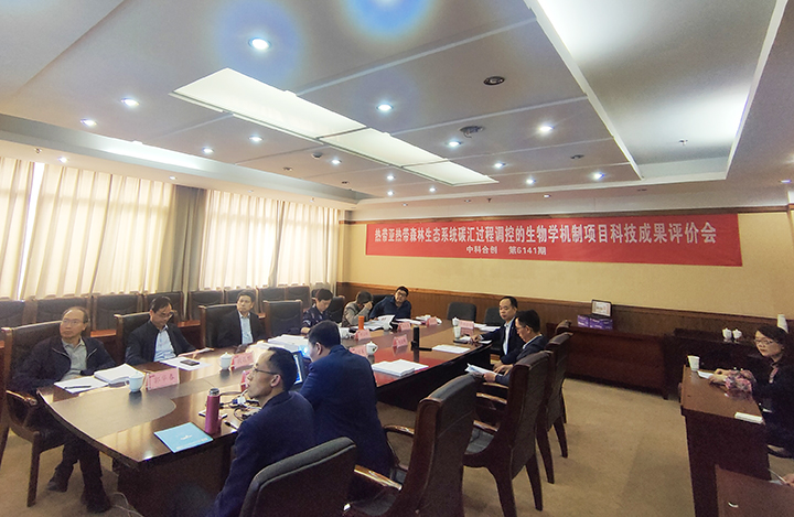 热带亚热带森林生态系统碳汇过程调控的生物学机制 anli.jpg